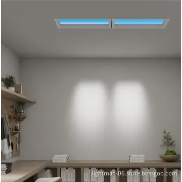 Tuya Artificial LED Skylight Panel Light 36W 300x600